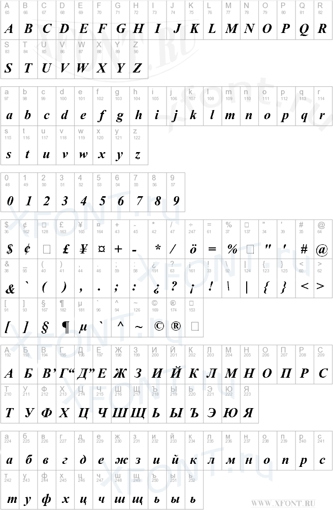 Times New Roman Bold Italic