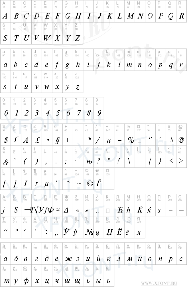 NewtonMACCTT Italic