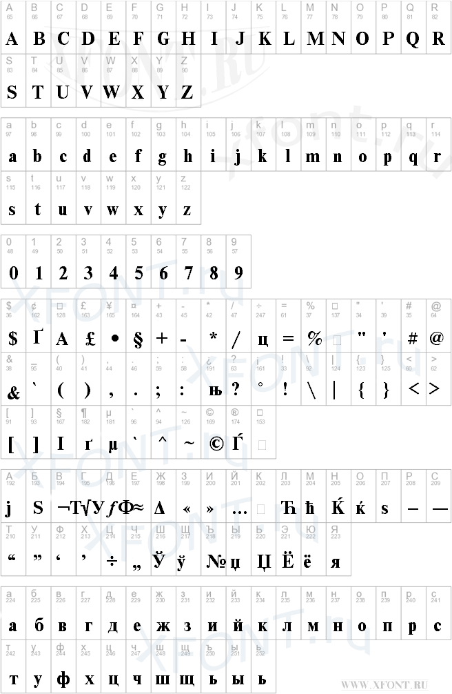 NewtonMACCTT Bold
