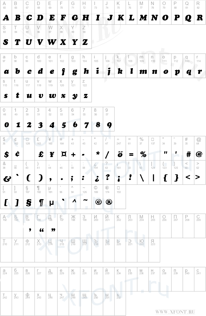 Chacey-Heavy-Italic