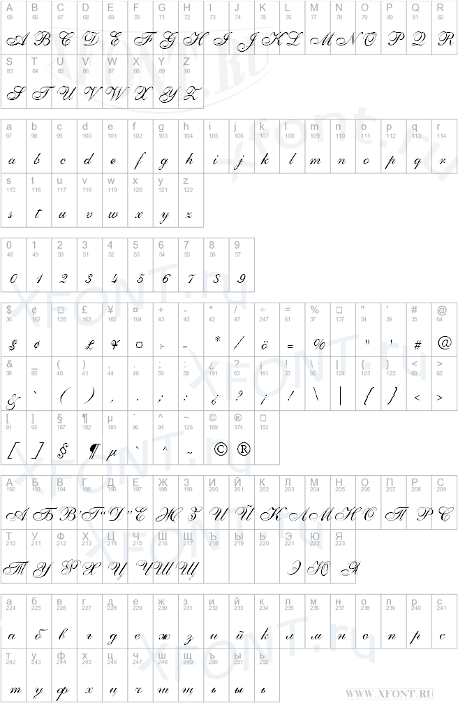 Allegretto Script One