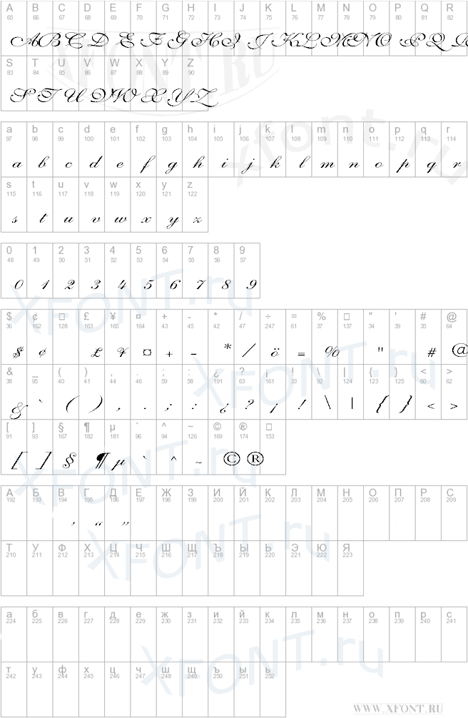 Shelley-VolanteScript Wd