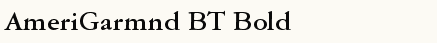 font шрифт AmeriGarmnd BT Bold