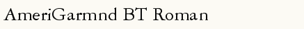 font шрифт AmeriGarmnd BT Roman