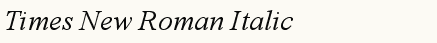 font шрифт Times New Roman Italic