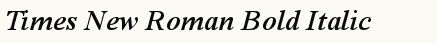 font шрифт Times New Roman Bold Italic