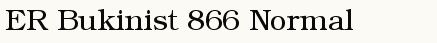 font шрифт ER Bukinist 866