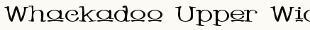 font шрифт Whackadoo Upper Wide