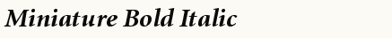 font шрифт Miniature Bold Italic