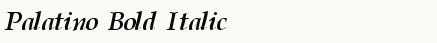 font шрифт Palatino Cyrillic Bold Italic
