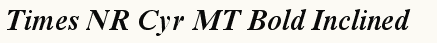 font шрифт Times NR Cyr MT Bold Inclined