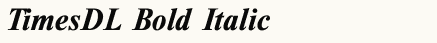 font шрифт TimesDL Bold Italic