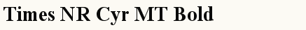 font шрифт Times NR Cyr MT Bold