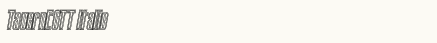 font шрифт TauernECTT Italic