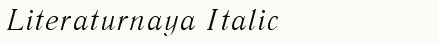 font шрифт Literaturnaya Italic:001.001
