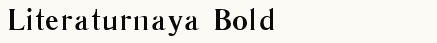 font шрифт Literaturnaya Bold:001.001