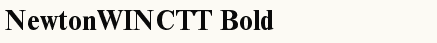 font шрифт NewtonWINCTT Bold