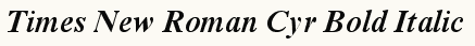 font шрифт Times New Roman Cyr Bold Italic