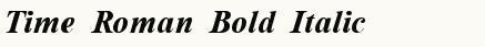 font шрифт Time Roman Bold Italic