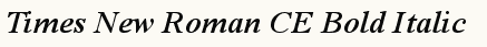 font шрифт Times New Roman CE Bold Italic