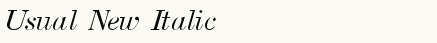 font шрифт Usual New Italic