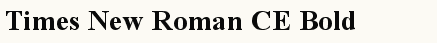font шрифт Times New Roman CE Bold