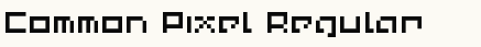 font шрифт Common Pixel