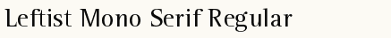 font шрифт Leftist Mono Serif