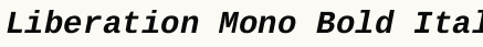 font шрифт Liberation Mono Bold Italic