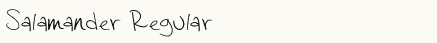 font шрифт Salamander