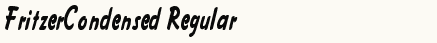 font шрифт FritzerCondensed