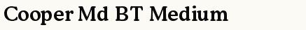 font шрифт Cooper Md BT Medium