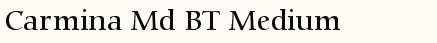 font шрифт Carmina Md BT Medium