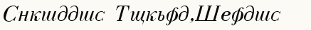 font шрифт Cyrillic Normal-Italic
