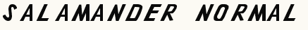 font шрифт Salamander