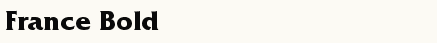 font шрифт France Bold
