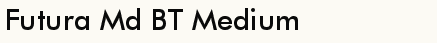 font шрифт Futura Md BT Medium