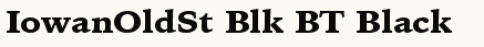 font шрифт Bitstream Iowan Old Style Black BT