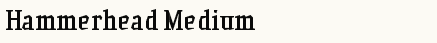font шрифт Hammerhead Medium