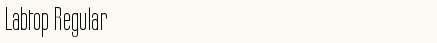font шрифт Labtop