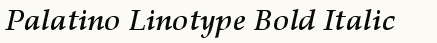 font шрифт Palatino Linotype Bold Italic