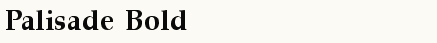 font шрифт Palisade Bold