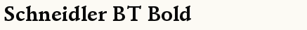 font шрифт Schneidler BT Bold