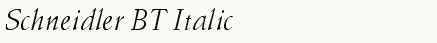 font шрифт Schneidler BT Italic