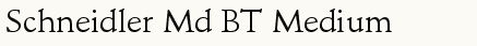 font шрифт Schneidler Md BT Medium