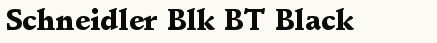 font шрифт Schneidler Black BT