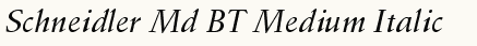 font шрифт Schneidler Md BT Medium Italic