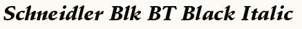 font шрифт Schneidler Black Italic BT