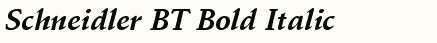 font шрифт Schneidler BT Bold Italic